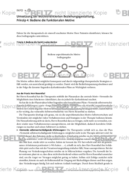 Plananalyse: Umsetzung der Motivorientierten Beziehungsgestaltung, Prinzip 4: Bediene die funktional
