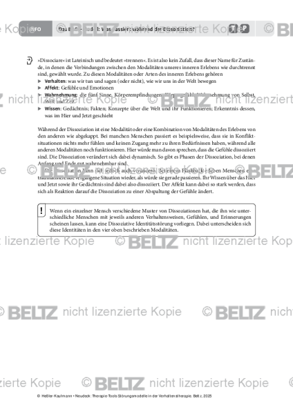 Störungsmodelle: Das BASK-Modell: Was passiert während der Dissoziation?