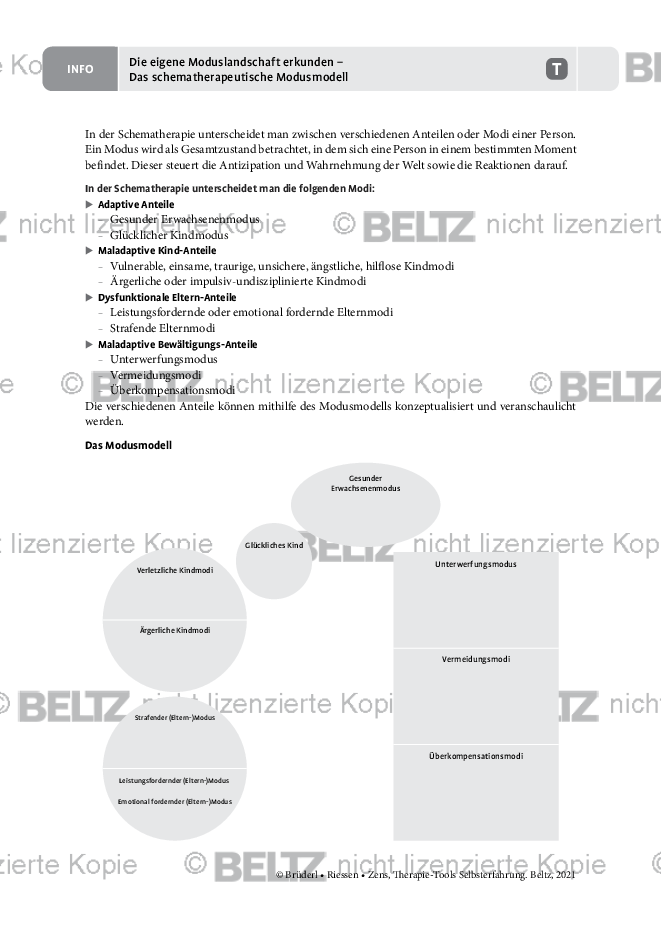 Selbsterfahrung: Die Eigene Moduslandschaft – Das Schematherapeutische ...