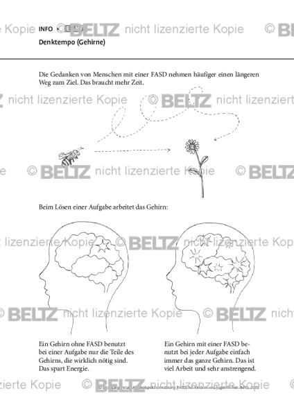 Fetale Alkoholspektrumstörung: Denktempo (Gehirne)