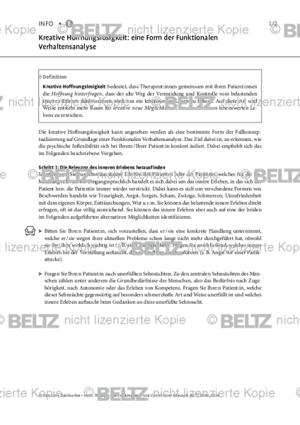 ACT: Kreative Hoffnungslosigkeit: eine Form der Funktionalen Verhaltensanalyse