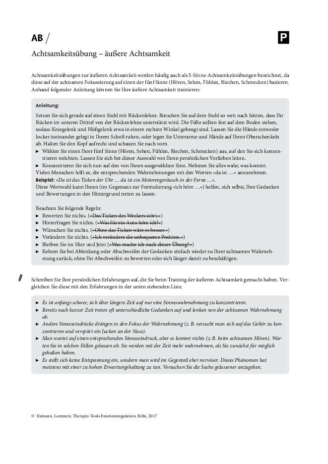 Emotionsregulation Achtsamkeitsubung Aussere Achtsamkeit Psychotherapie Tools