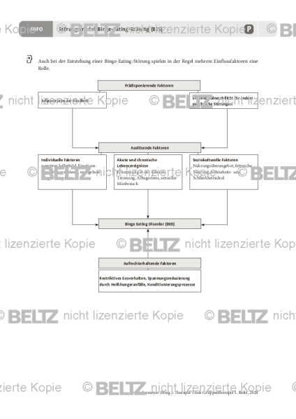 Gruppentherapie: Störungsmodell Binge-Eating-Störung
