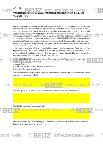 Trauer: Verlustorientierte und Wiederherstellungsorientierte individuelle Trauerthemen