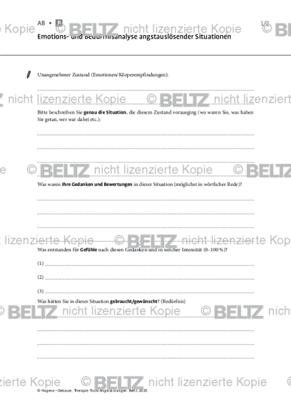 Angststörungen: Emotions- und Bedürfnisanalyse angstauslösender Situationen