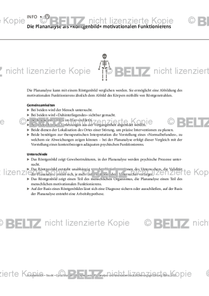 Die Plananalyse als »Röntgenbild« motivationalen Funktionierens