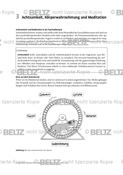 Körperorientierte Interventionen: Einleitung Achtsamkeit, Körperwahrnehmung und Meditation