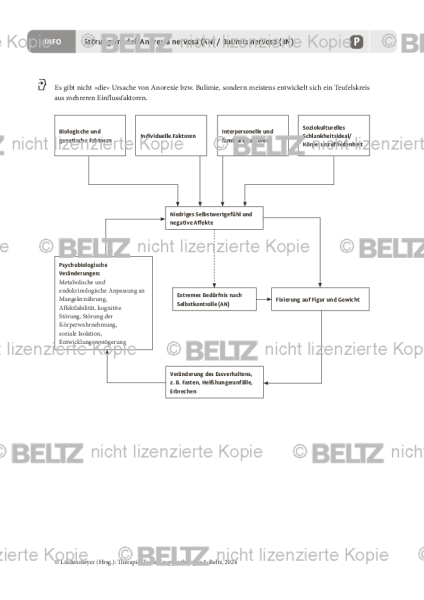 Gruppentherapie: Störungsmodell Anorexia nervosa (AN) / Bulimia nervosa (BN)