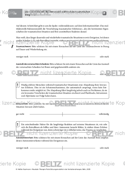 Störungsmodelle: Das multifaktorielle Rahmenmodell: während des traumatischen Ereignisses