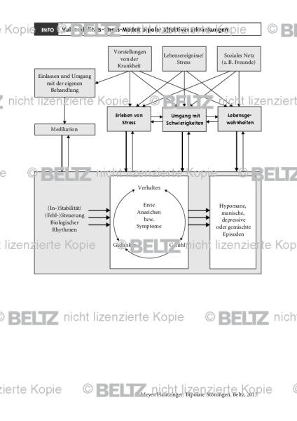 Bipolare Störung: Vulnerabilitäts-Stress-Modell bipolar affektiver Erkrankungen