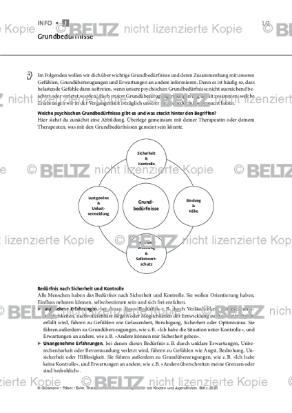 Emotionsregulation (K/J): Grundbedürfnisse (Jugendliche)