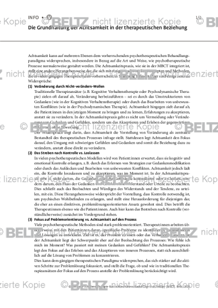 MBCT: Die Grundhaltung der Achtsamkeit in der therapeutischen Beziehung