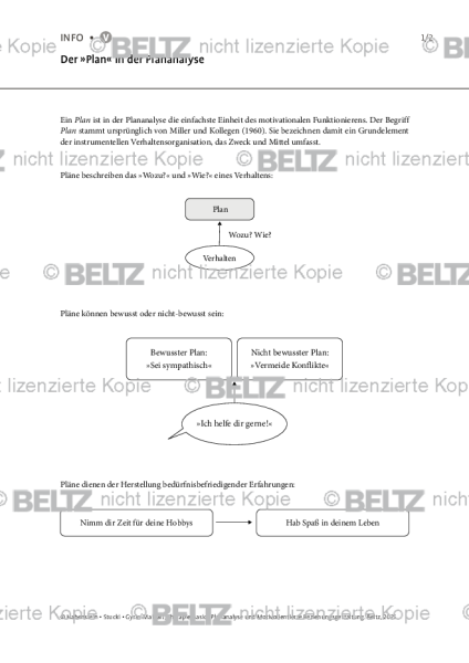 Der »Plan« in der Plananalyse