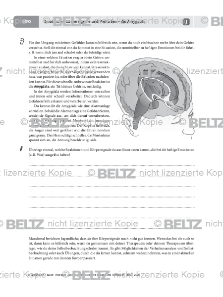 Aggression: Emotionen, Körpersignale und Verhalten – die Amygdala