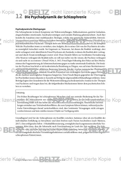 Psychodynamische Interventionen: Einleitung Die Psychodynamik der Schizophrenie