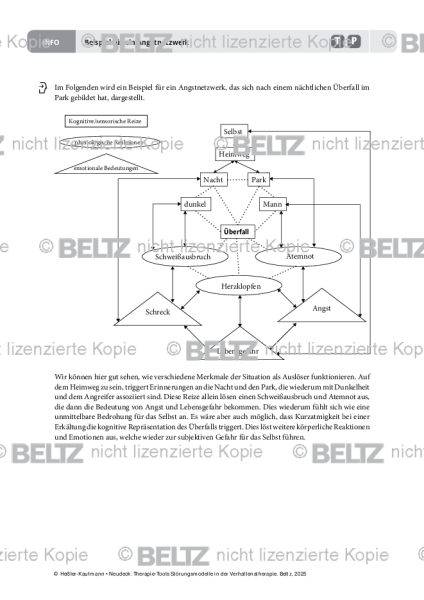 Störungsmodelle: Beispiel für ein Angstnetzwerk