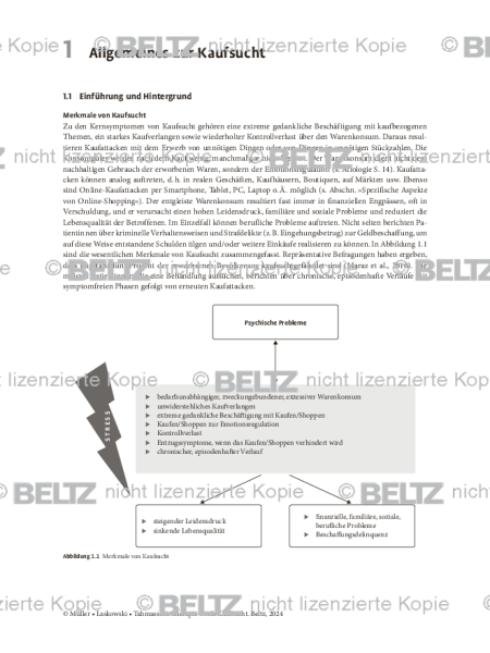 Einleitung Allgemeines zur Kaufsucht