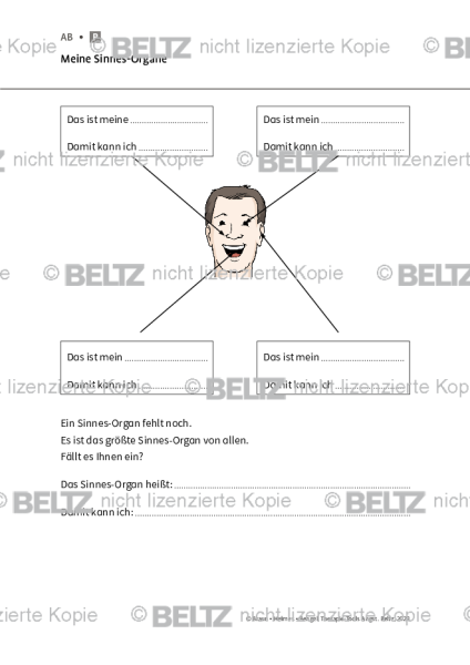 Angst und geistige Behinderung: Meine Sinnes-Organe