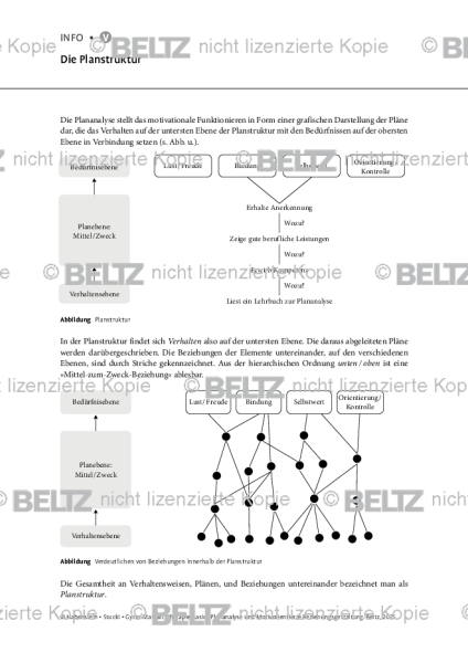 Plananalyse: Die Planstruktur