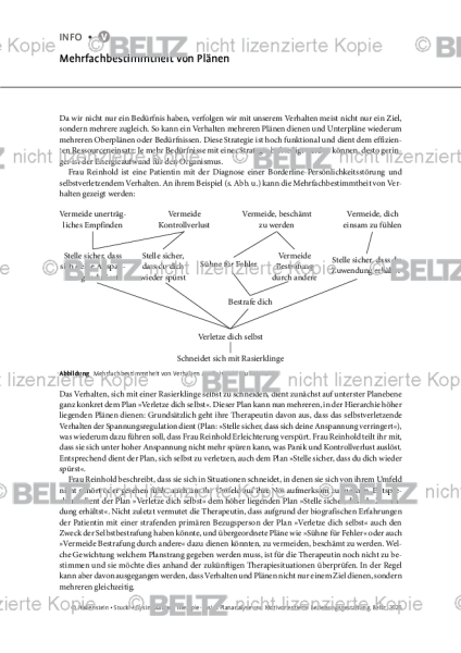 Plananalyse: Mehrfachbestimmtheit von Plänen