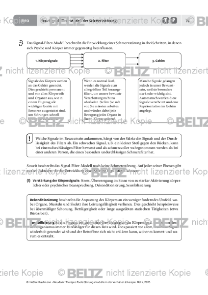 Störungsmodelle: Das Signal-Filter-Modell der Schmerzstörung