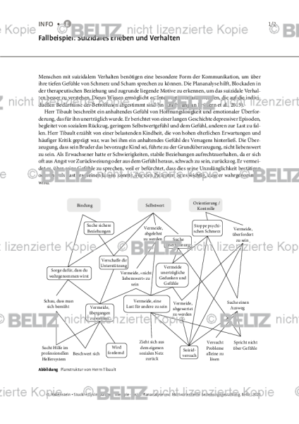 Plananalyse: Fallbeispiel: Suizidales Erleben und Verhalten