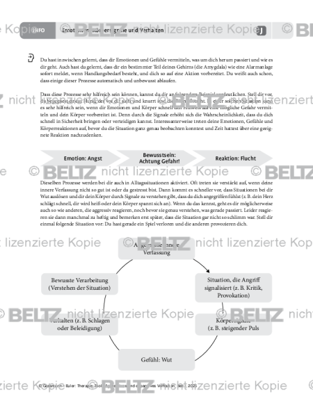 Aggression: Emotionen, Körpersignale und Verhalten