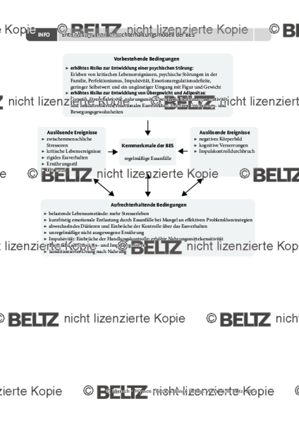 Binge Eating: Entstehungs- und Aufrechterhaltungsmodell der BES