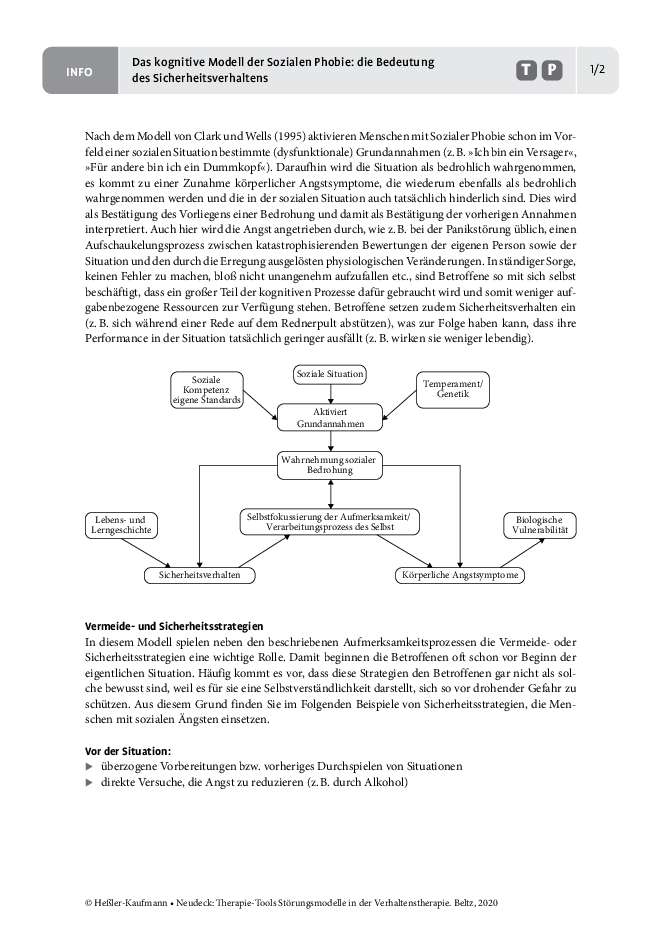 Störungsmodelle Das Kognitive Modell Der Sozialen Phobie Bedeutung Des Sicherheitsverhaltens 9831