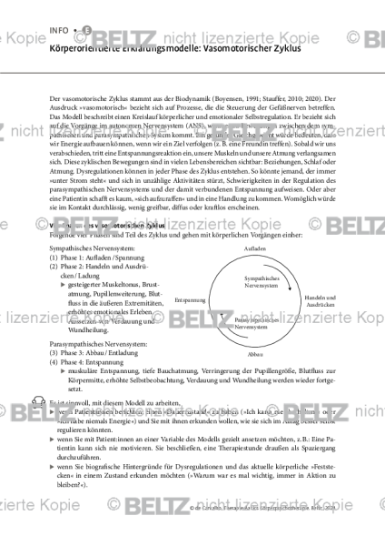 Körperpsychotherapie: Körperorientierte Erklärungsmodelle: Vasomotorischer Zyklus