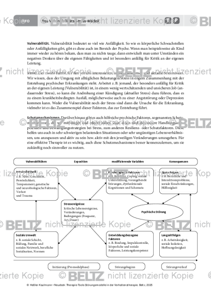 Störungsmodelle: Das Vulnerabilitäts-Stress-Modell