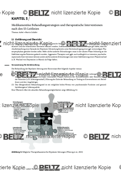 Bipolare Störungen: Einleitung Medikamentöse und therapeutische Interventionen nach S3-Leitlinien