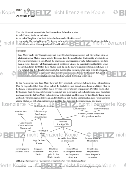 Plananalyse: Zentrale Pläne