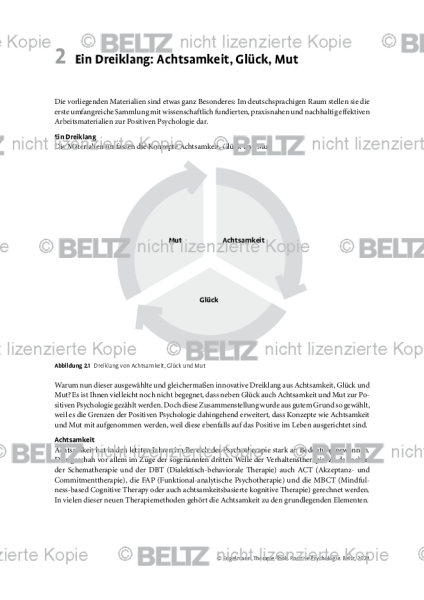 Positive Psychologie: Ein Dreiklang: Achtsamkeit, Glück, Mut