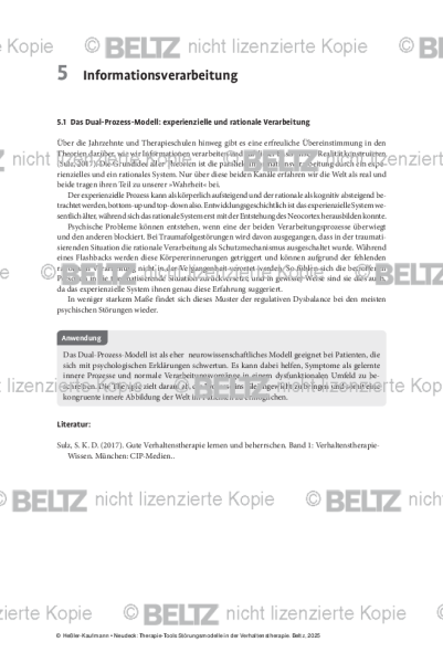 Störungsmodelle: Einleitung Informationsverarbeitung