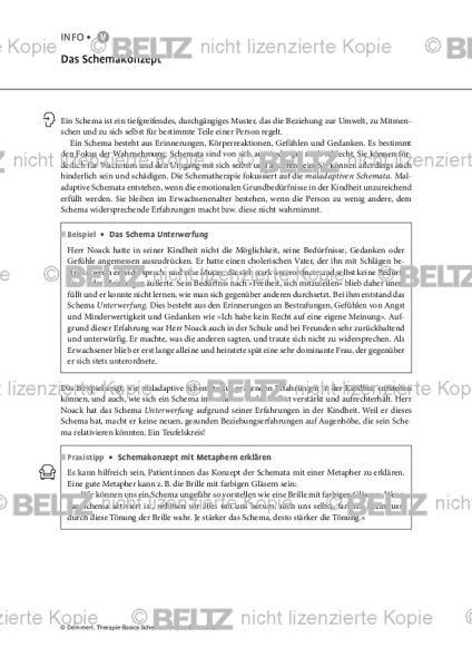 Schematherapie: Das Schemakonzept
