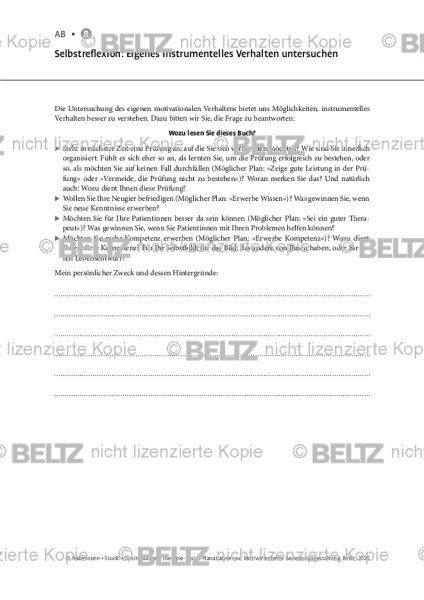 Plananalyse: Selbstreflexion: Eigenes instrumentelles Verhalten untersuchen