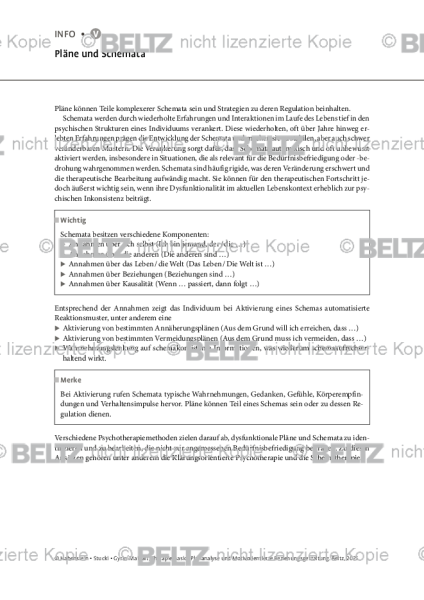 Plananalyse: Pläne und Schemata