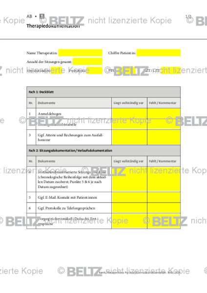 Psychodynamische Interventionen: Therapiedokumentation