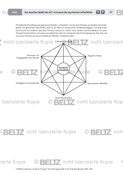 Störungsmodelle: Das Hexaflex-Modell Der ACT: 6 Prozesse Der ...