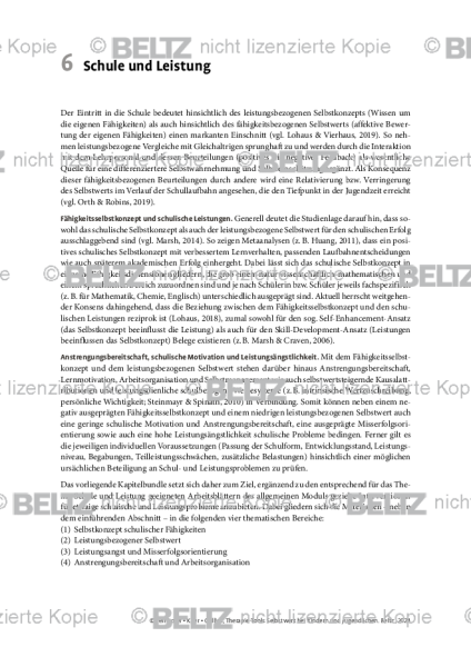 Selbstwert: Einleitung Schule und Leistung