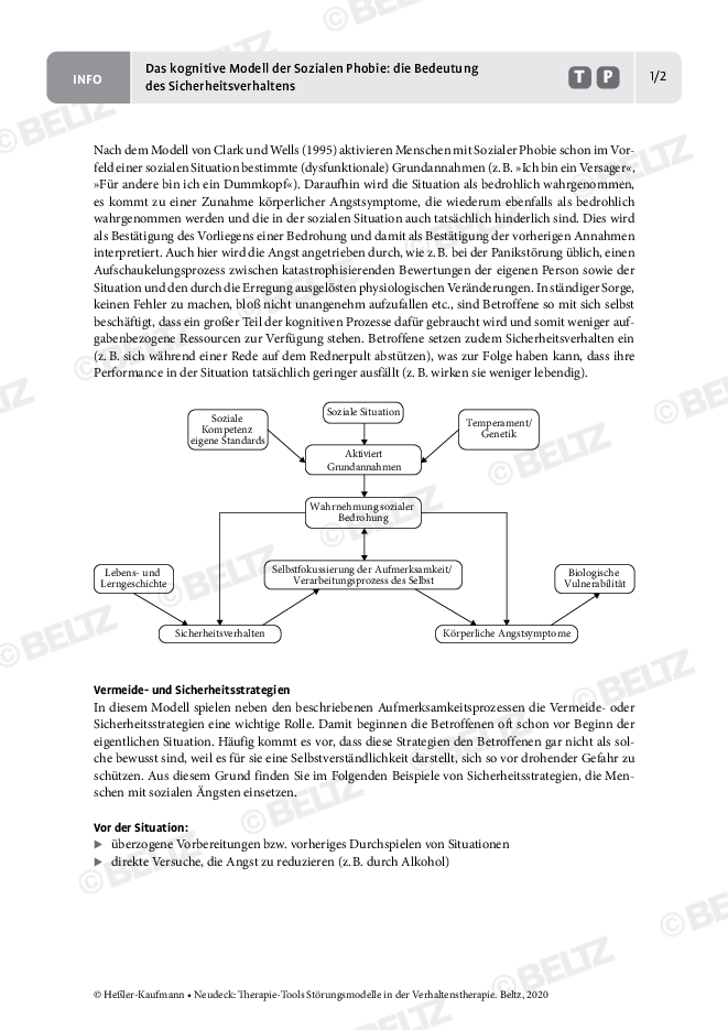 Störungsmodelle: Das Kognitive Modell Der Sozialen Phobie: Bedeutung ...