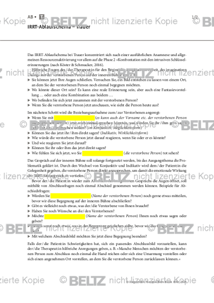 Trauer: IRRT-Ablaufschema – Trauer