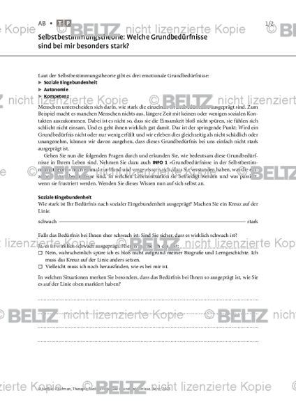 Emotionale Grundbedürfnisse: Selbstbestimmungstheorie: Welche Grundbedürfnisse sind bei mir besonder