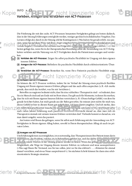 Vorleben, Anregen und Verstärken von ACT-Prozessen