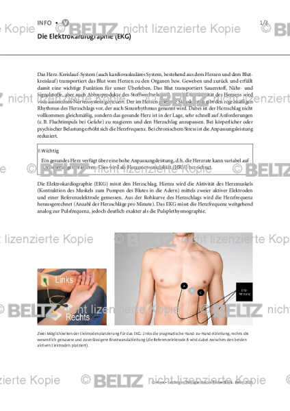 Biofeedback: Die Elektrokardiographie (EKG)