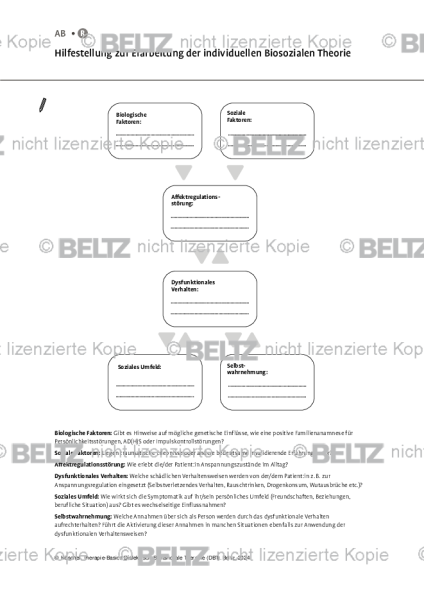 DBT: Erstellung der individuellen Biosozialen Theorie