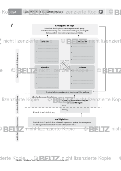 Gesamtmodell meiner Schlafstörungen