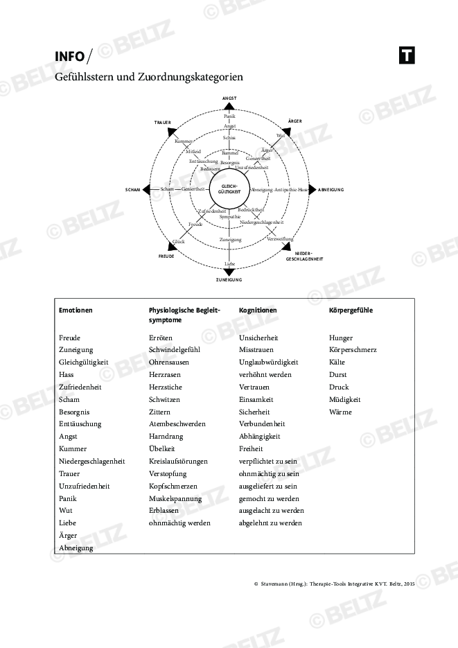 KVT: Gefühlsstern und Zuordnungskategorien | psychotherapie.tools