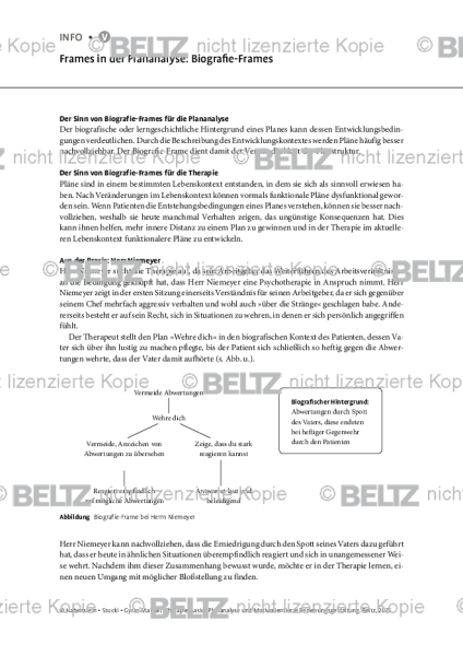 Frames in der Plananalyse: Biografie-Frames